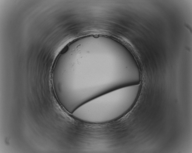 X0000103491182200809120944