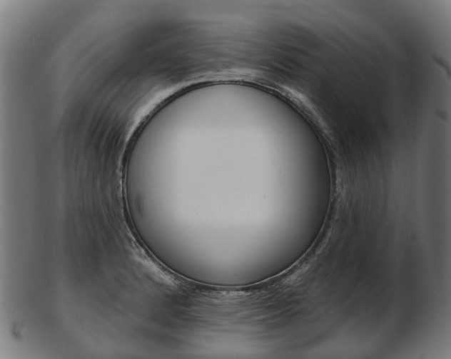 X0000103491184200809120943