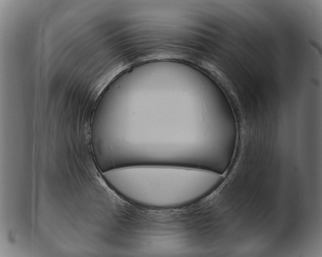X0000103491185200809120943