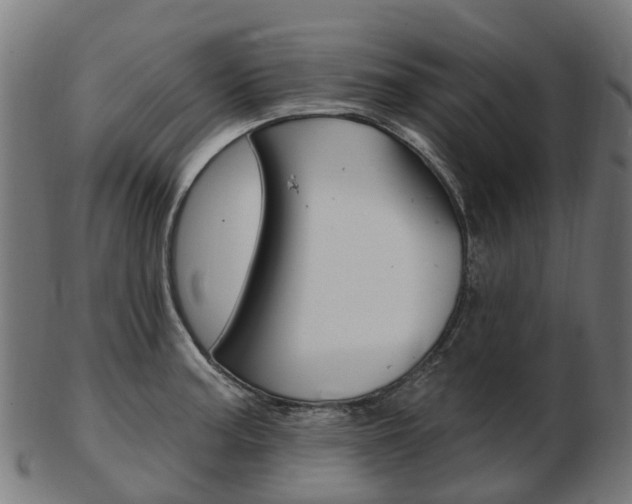 X0000103491187200809120943
