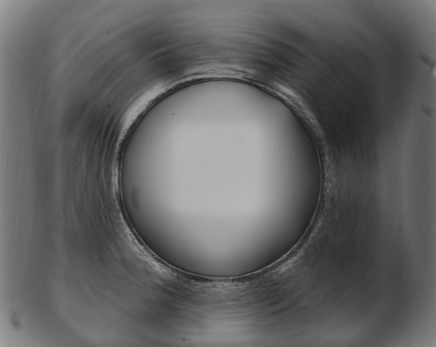 X0000103491188200809120943