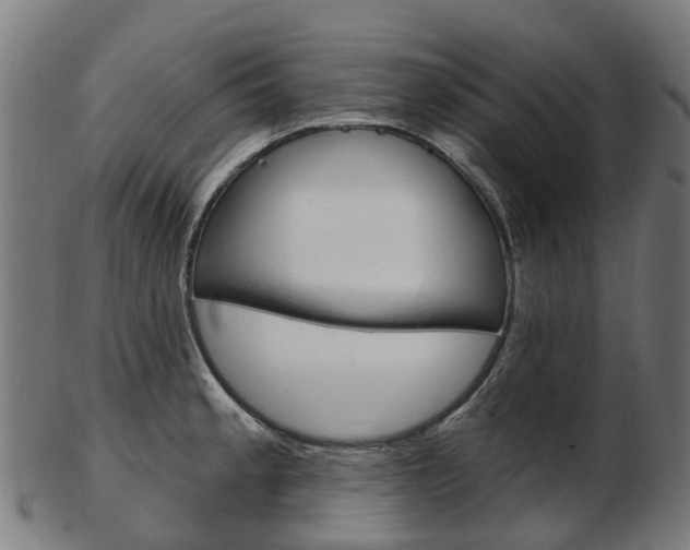 X0000103491189200809120943
