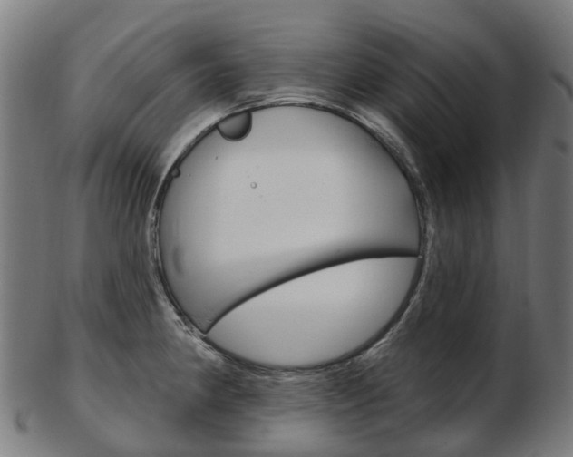 X0000103491190200809120943