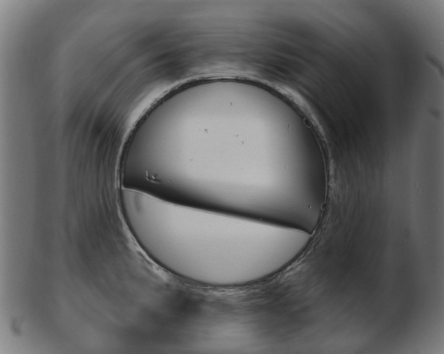 X0000103491191200809120943