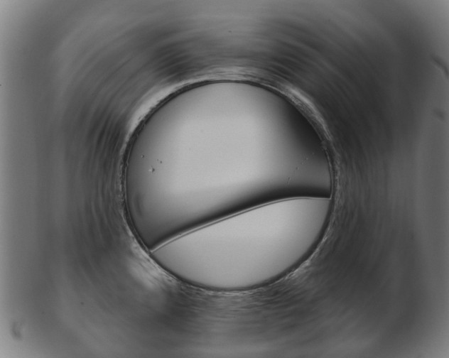 X0000103491192200809120943
