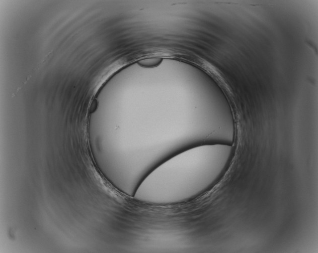 X0000103491194200809120943