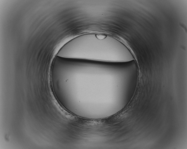 X0000103491195200809120943