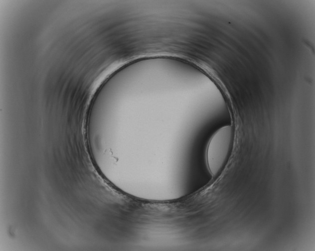 X0000103491197200809120943