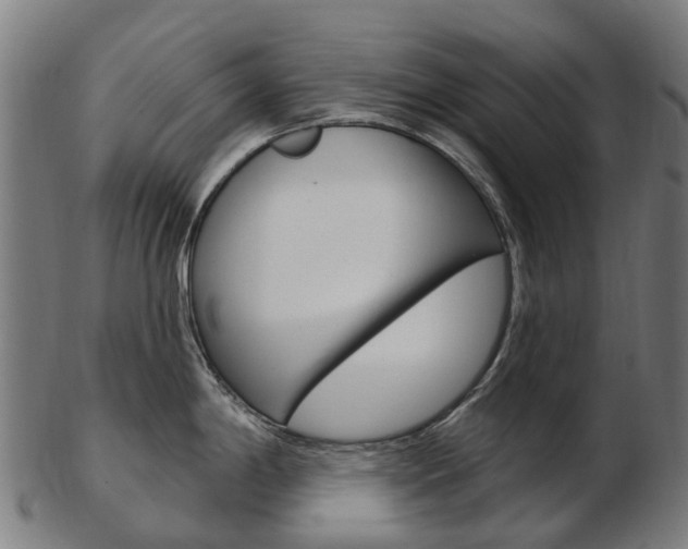 X0000103491198200809120943