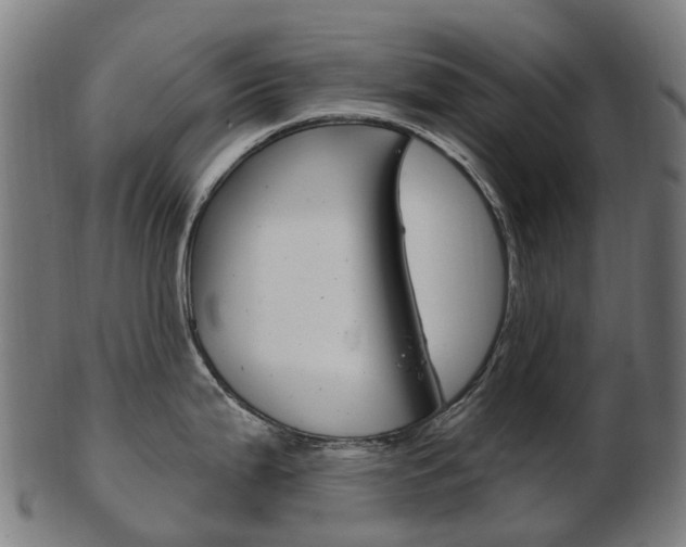 X0000103491199200809120943