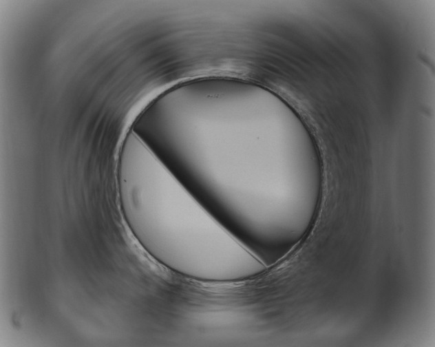 X0000103491200200809120943