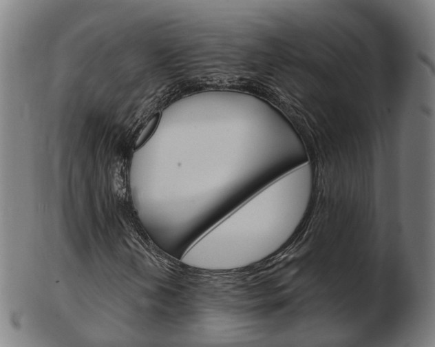 X0000103491202200809120943
