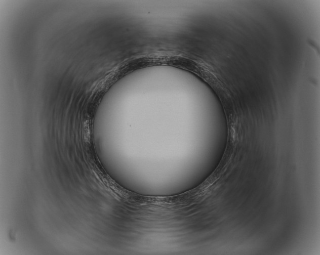X0000103491204200809120943