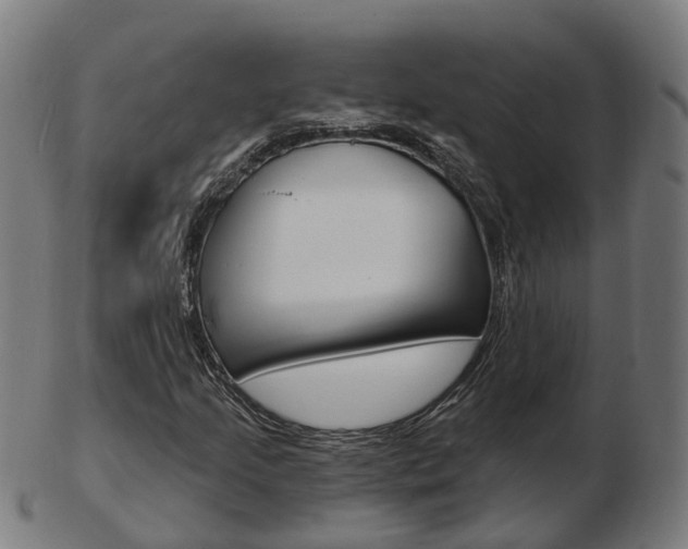 X0000103491205200809120943