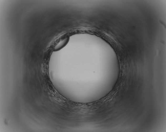 X0000103491207200809120943
