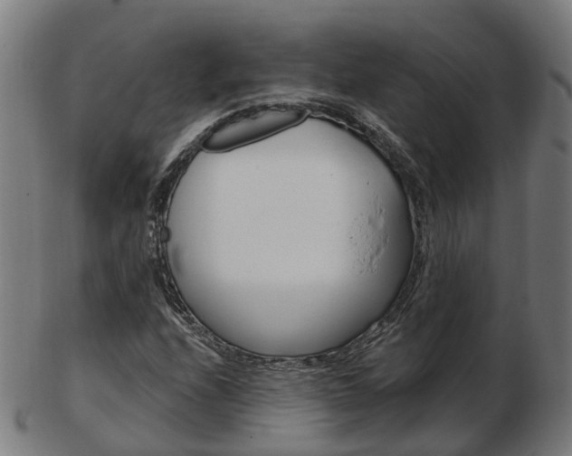 X0000103491208200809120943
