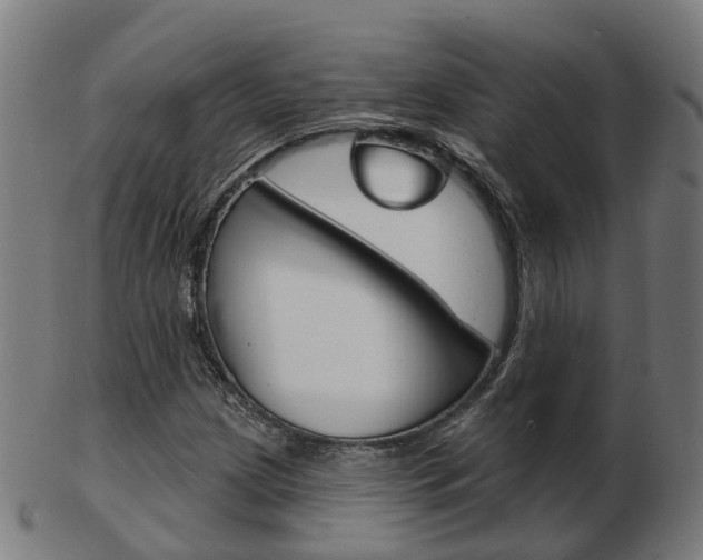 X0000103491209200809120943