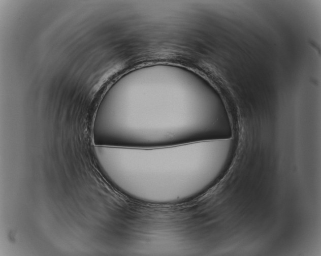 X0000103491210200809120943