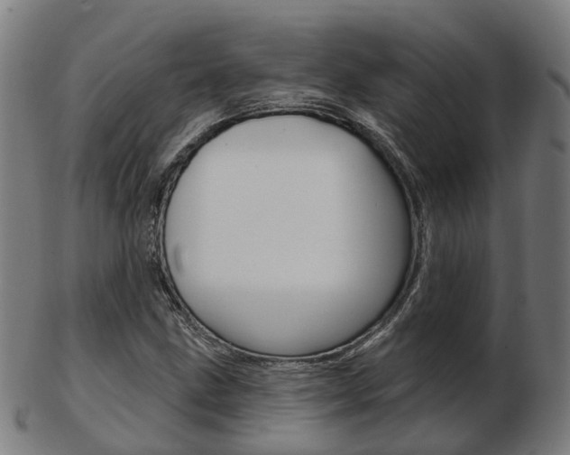 X0000103491211200809120943