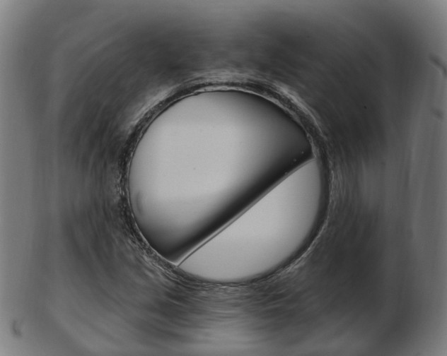 X0000103491213200809120943