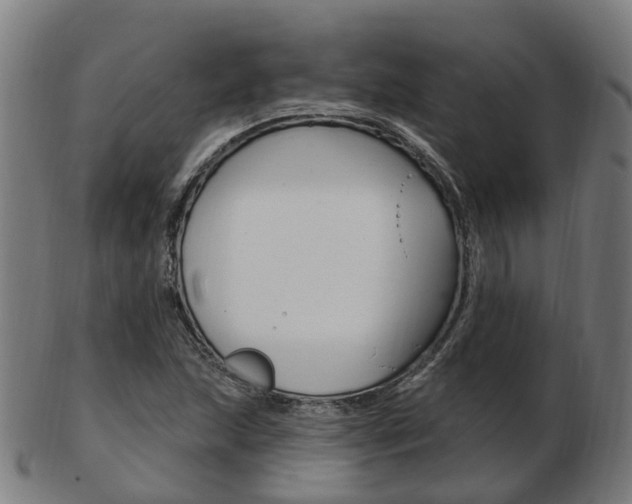 X0000103491215200809120943