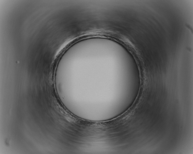 X0000103491216200809120943