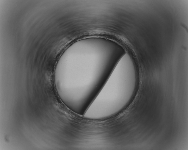 X0000103491217200809120943