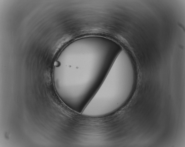 X0000103491218200809120943