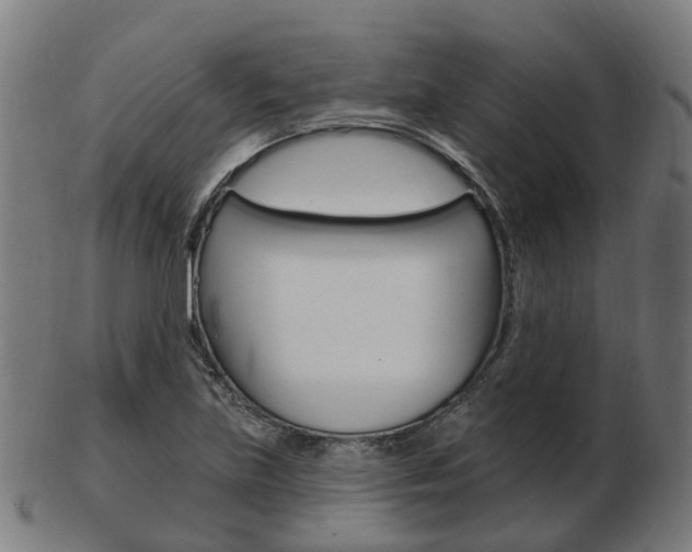 X0000103491219200809120943