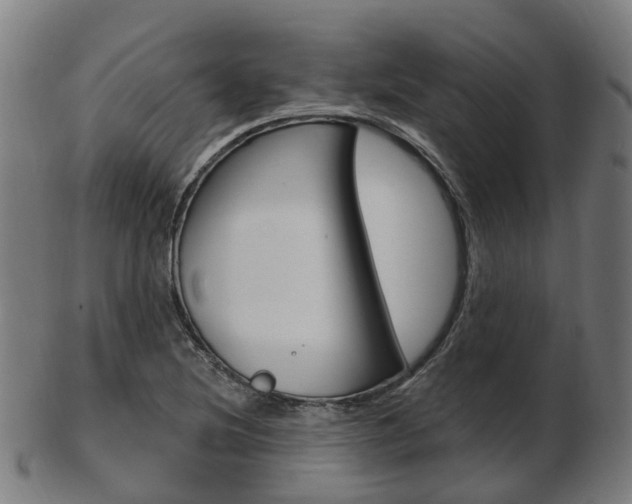 X0000103491220200809120943