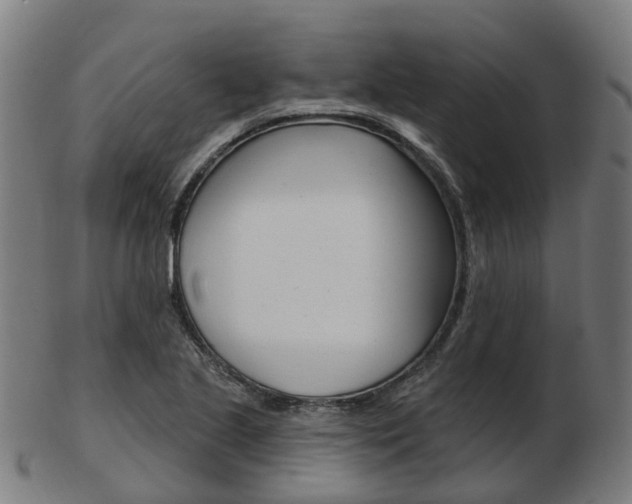 X0000103491221200809120943