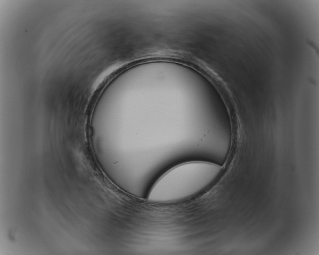 X0000103491222200809120943