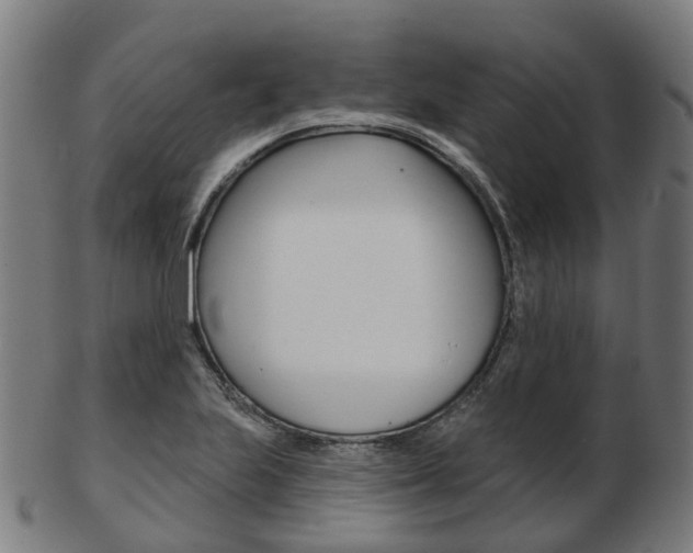 X0000103491223200809120943