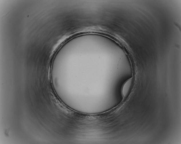 X0000103491224200809120943