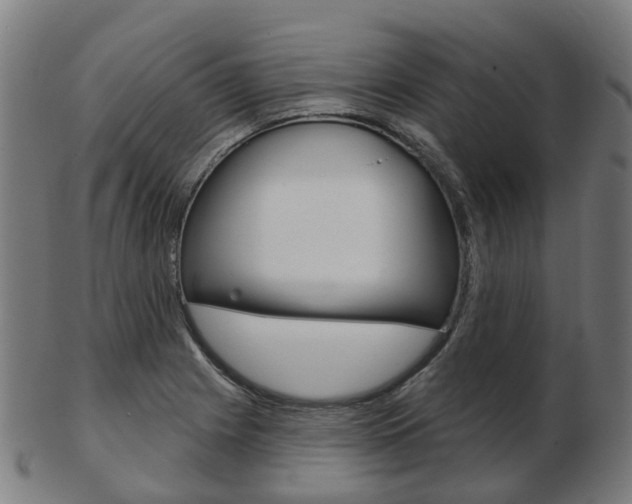 X0000103491225200809120943