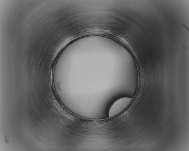 X0000103491227200809120943