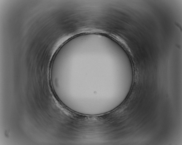 X0000103491231200809120943