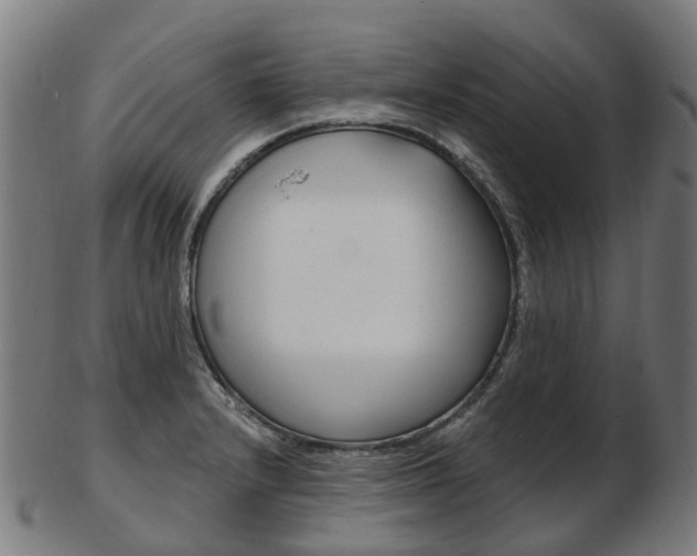X0000103491232200809120943