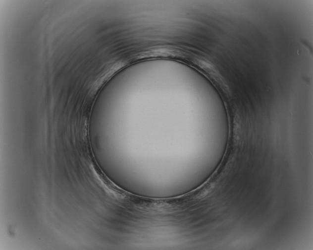 X0000103491233200809120943