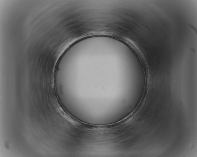 X0000103491236200809120943