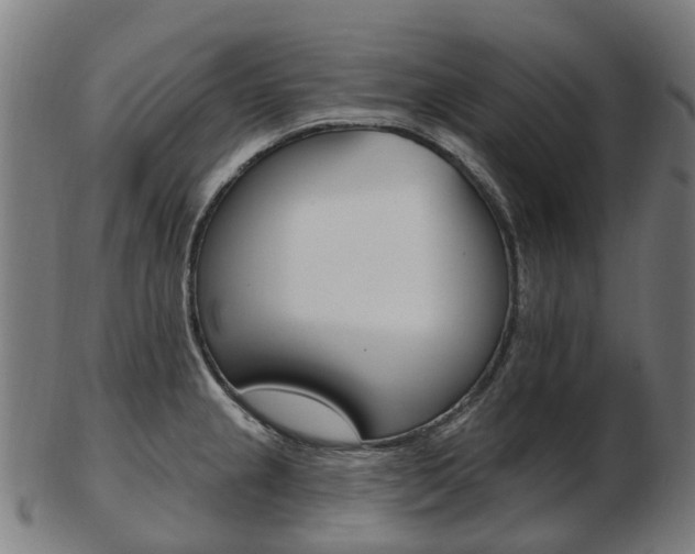 X0000103491237200809120943