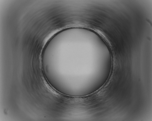 X0000103491238200809120943