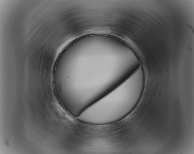 X0000103491240200809120943