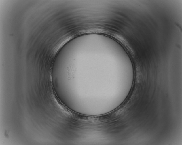 X0000103491241200809120943