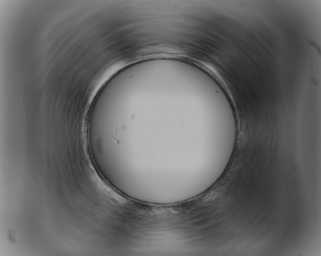 X0000103491243200809120943