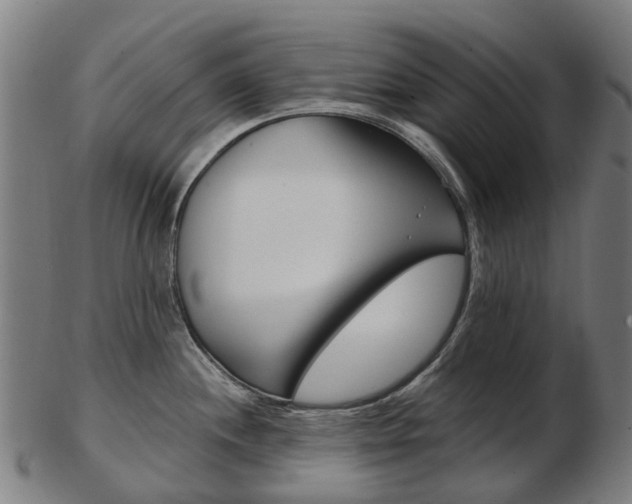 X0000103491244200809120943