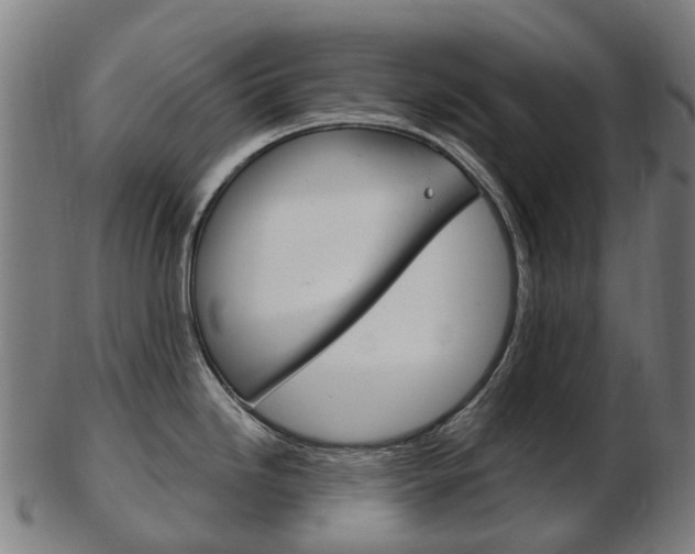 X0000103491246200809120943