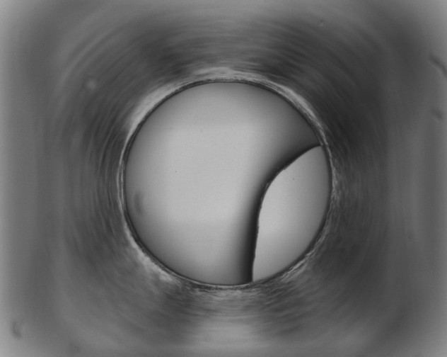X0000103491247200809120943