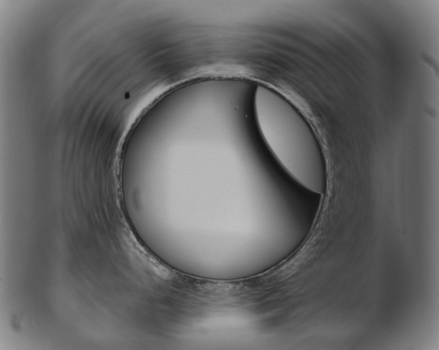 X0000103491248200809120943