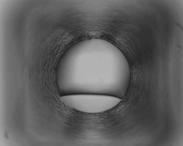 X0000103491249200809120943
